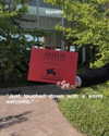 numero_netherlands Altpins Profile Picture