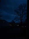 kimberr_0000 Altpins Profile Picture