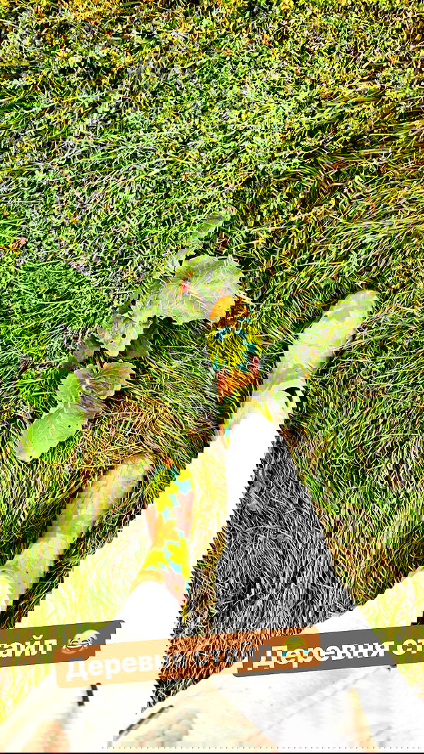 nyityam nyityam archive image