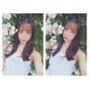 erokochiba Altpins Profile Picture
