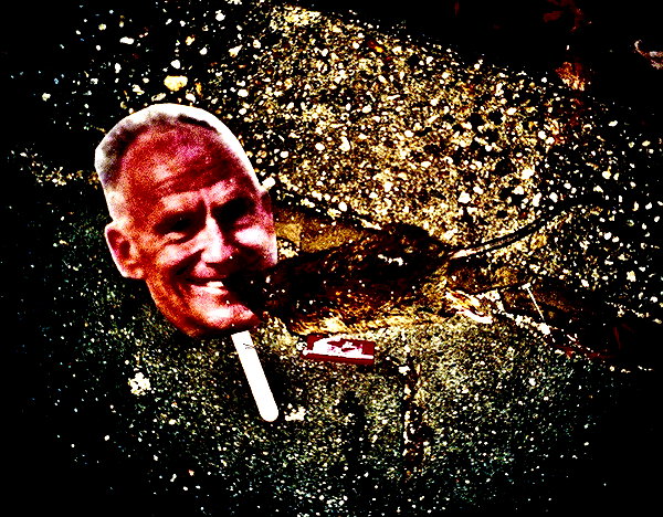 bugz4brainz instagram image archive image