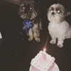 ashleybenson Altpins Profile Picture
