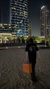 vvelum_ Altpins Profile Picture