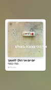 babynympho_archive Altpins Profile Picture