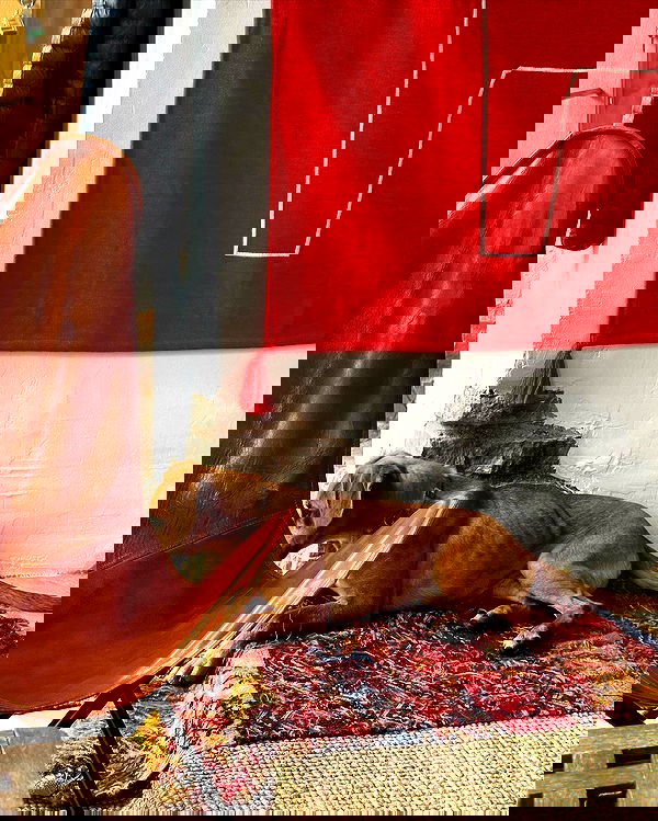 manjolamuriqi manjolamuriqi archive image