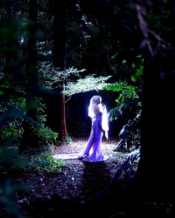 emackphoto archive image