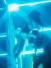 camila_cabello Altpins Profile Picture