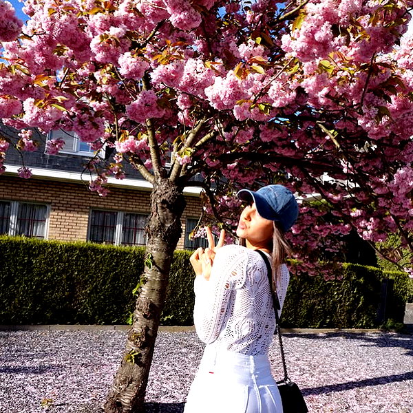 neta_alchimister instagram image archive image