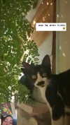 yaarat11 Altpins Profile Picture