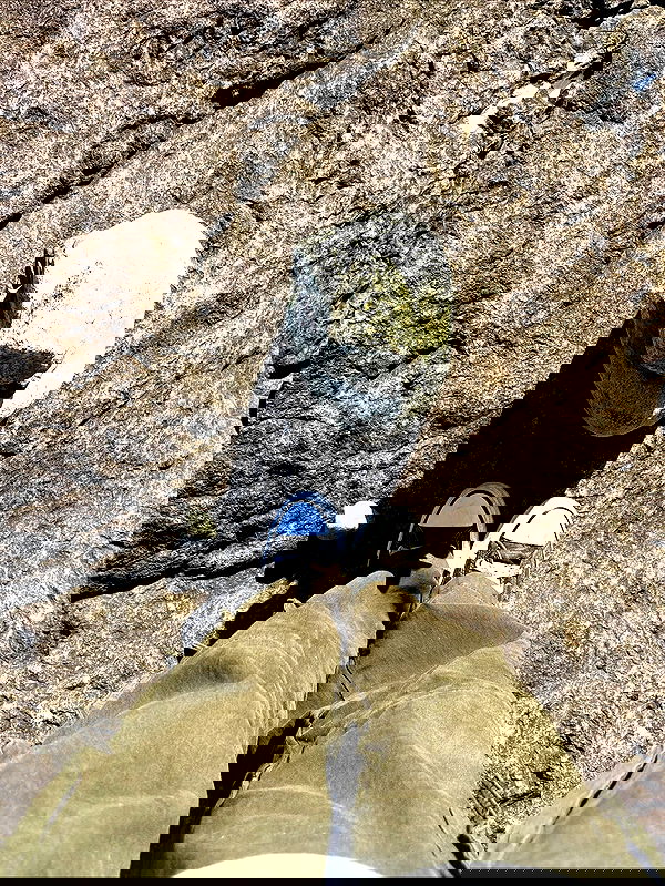 mosssaico mosssaico archive image