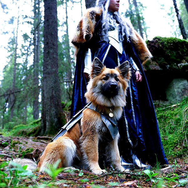 thenerdforge instagram image archive image