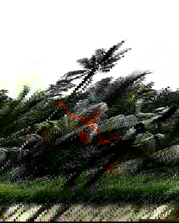 kkulakovaa image ~ Altpins