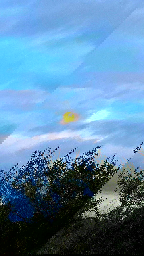 taylor.creeden taylor.creeden archive image