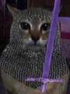 milkiwifey Altpins Profile Picture