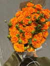 daryanedarya Altpins Profile Picture