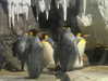 hhh.e_c.v Altpins Profile Picture