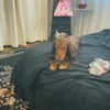 libby_reut Altpins Profile Picture