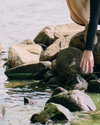 __rrenard__ Altpins Profile Picture