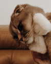 ofri.elul Altpins Profile Picture