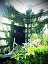alicejaderockwell Altpins Profile Picture