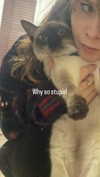 s111y_ccc0nt3 Altpins Profile Picture