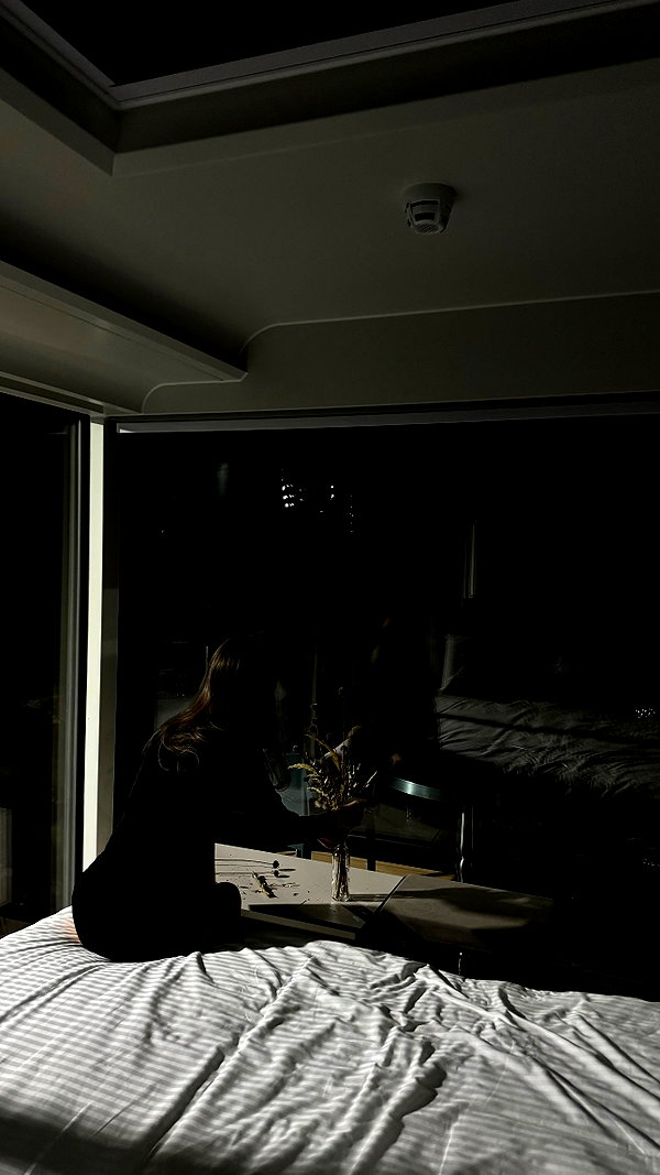 vvelum_ archive image