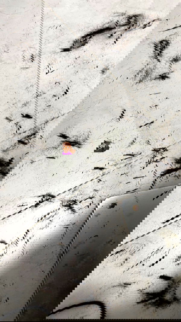 efrat_elmalich efrat_elmalich archive image