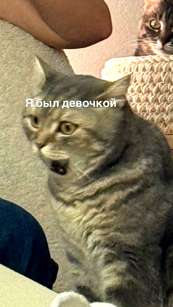 enikeeva_aliya instagram image archive image