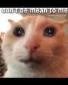 leanbeefpatty Altpins Profile Picture