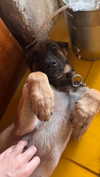 alma.almog Altpins Profile Picture