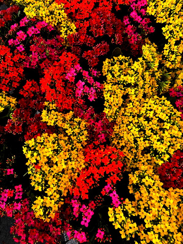 maiden_lifts instagram image archive image