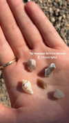 roni_ackerman Altpins Profile Picture