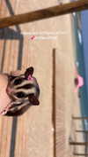 rotem.antman Altpins Profile Picture