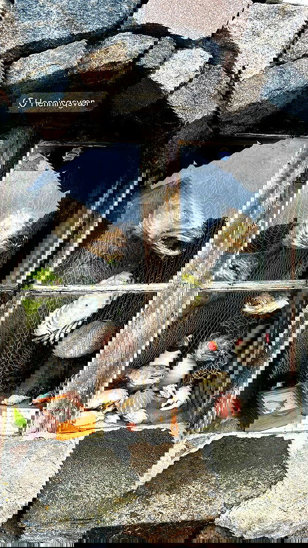 taylor.creeden taylor.creeden archive image