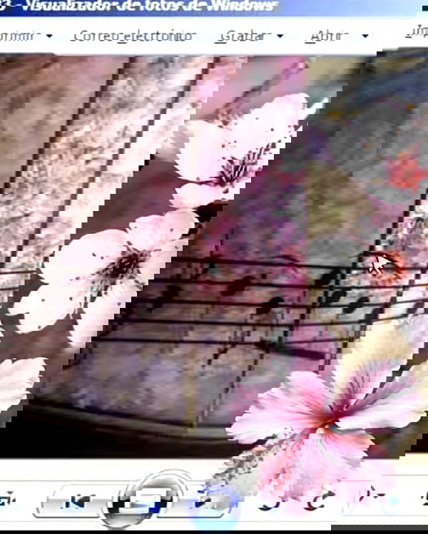 missnyxdawn missnyxdawn archive image