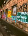 roni_ackerman Altpins Profile Picture