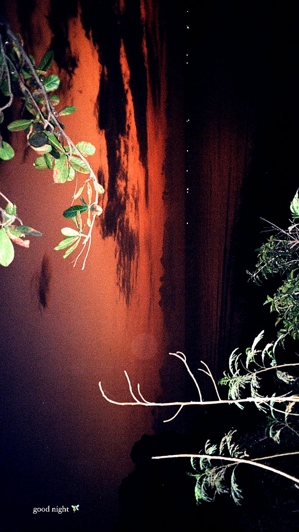 pia__kim archive image