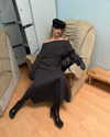 daryanedarya Altpins Profile Picture