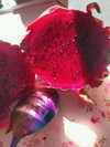jadelaverne Altpins Profile Picture