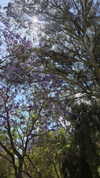 avital_1010.2003 Altpins Profile Picture