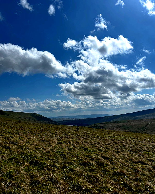 charley.chambers instagram image archive image