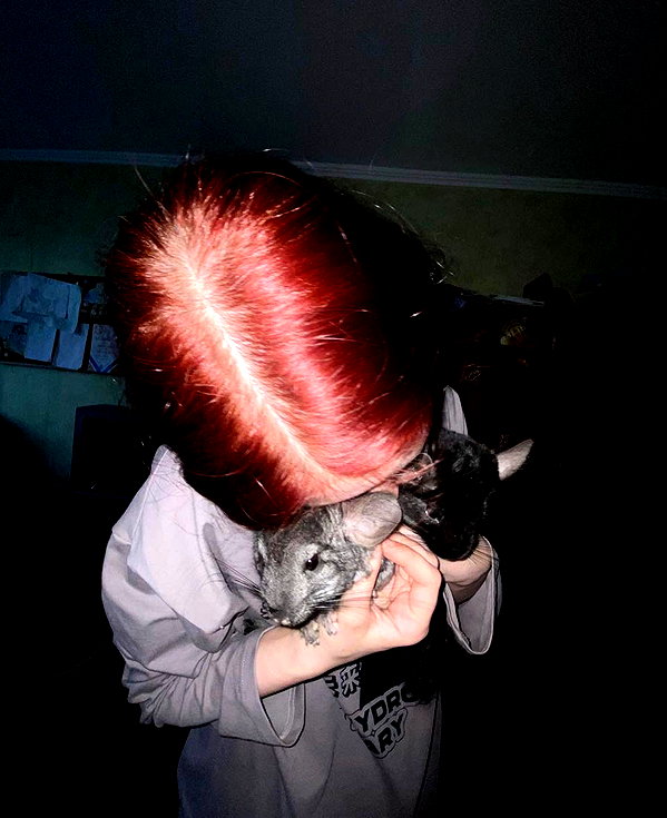 klywrxzzp instagram image archive image