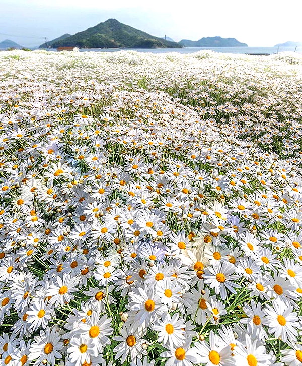 sullivang_ instagram image archive image