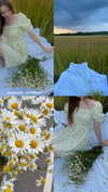 nasstellaa Altpins Profile Picture