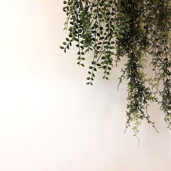 daxbin instagram image archive image