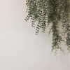 daxbin Altpins Profile Picture