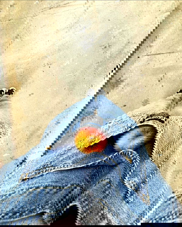 jtilb2 image ~ Altpins