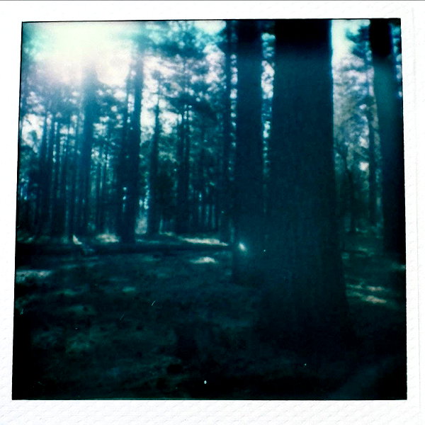 leonanaomii instagram image archive image