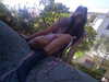 leonanaomii Altpins Profile Picture