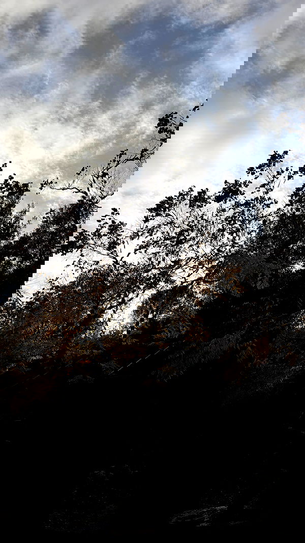 strawberryshanz strawberryshanz archive image